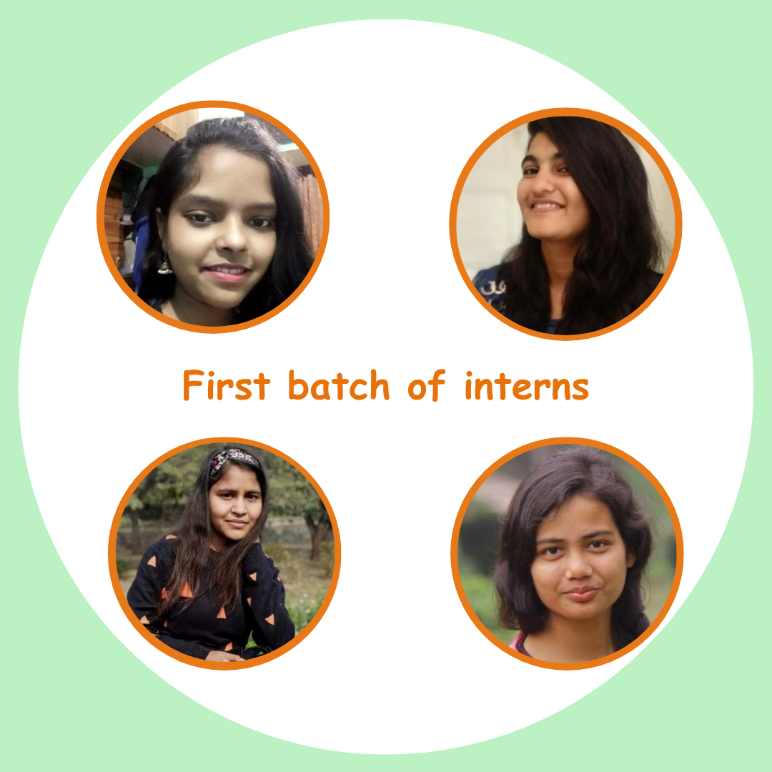 Anubhav shala (3) Anubhav-shala batch of interns
